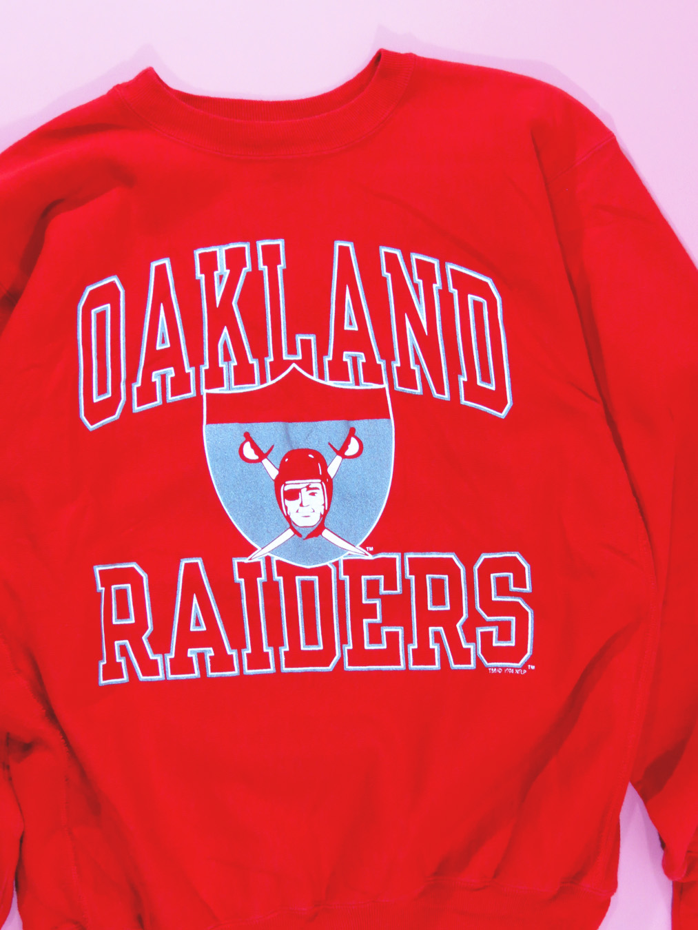 Vintage Oakland Raiders Champion Crewneck Sweatshirt
