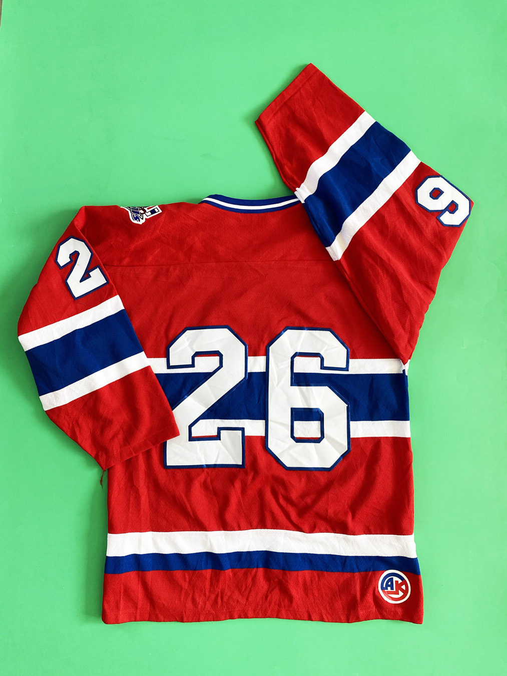 Vintage San Diego Gulls AHL SP Hockey Jersey, Size XXL – Stuck In The 90s  Sports